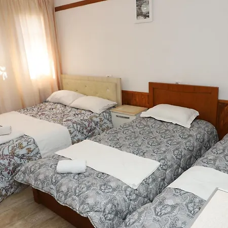 Apartament Elvi Aerd *